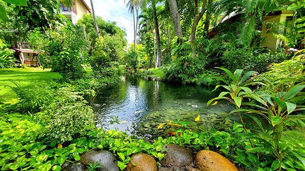 Khu du lịch Làng Tre Mũi Né Phan Thiết