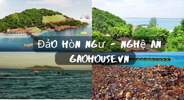 Đảo Hòn Ngư